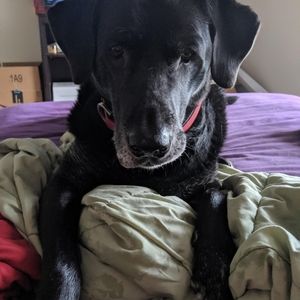 💕💗💕💗💕My BEAUTIFUL BOY, PHINEUS 💕💗💕💗💕